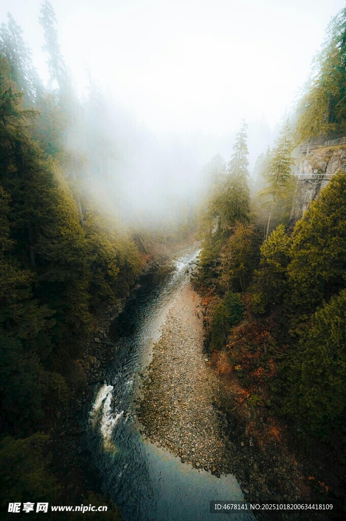 云雾缭绕的山间溪流