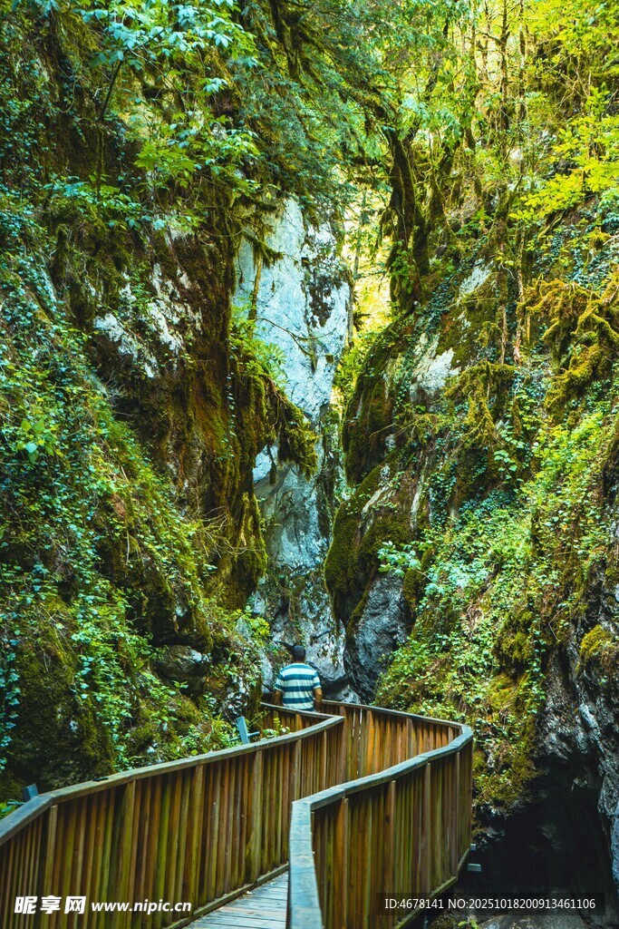 山林间的木质栈道景观