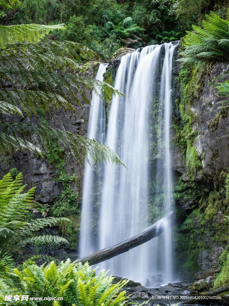 山间瀑布与葱郁绿植景观