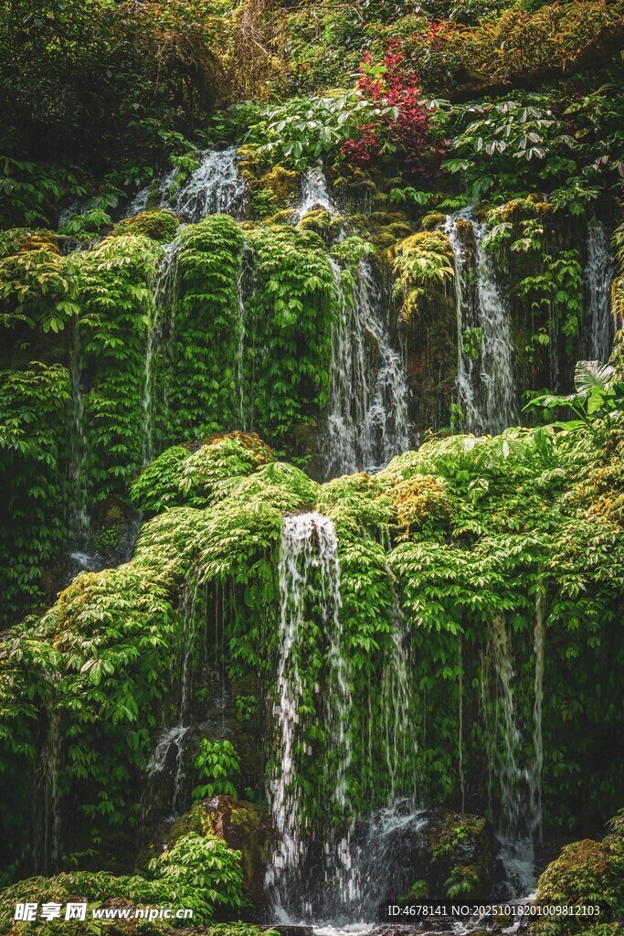 翠绿苔藓覆盖的美丽瀑布