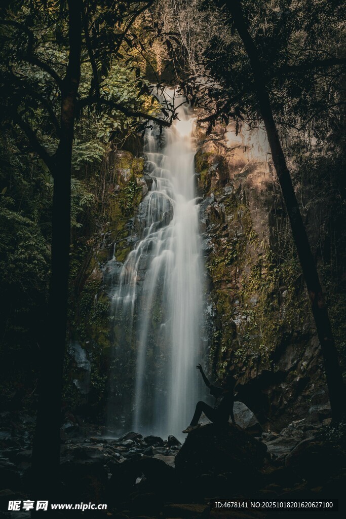 森林中的壮丽瀑布景观