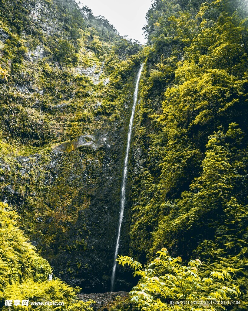 山间飞瀑下的葱郁景致