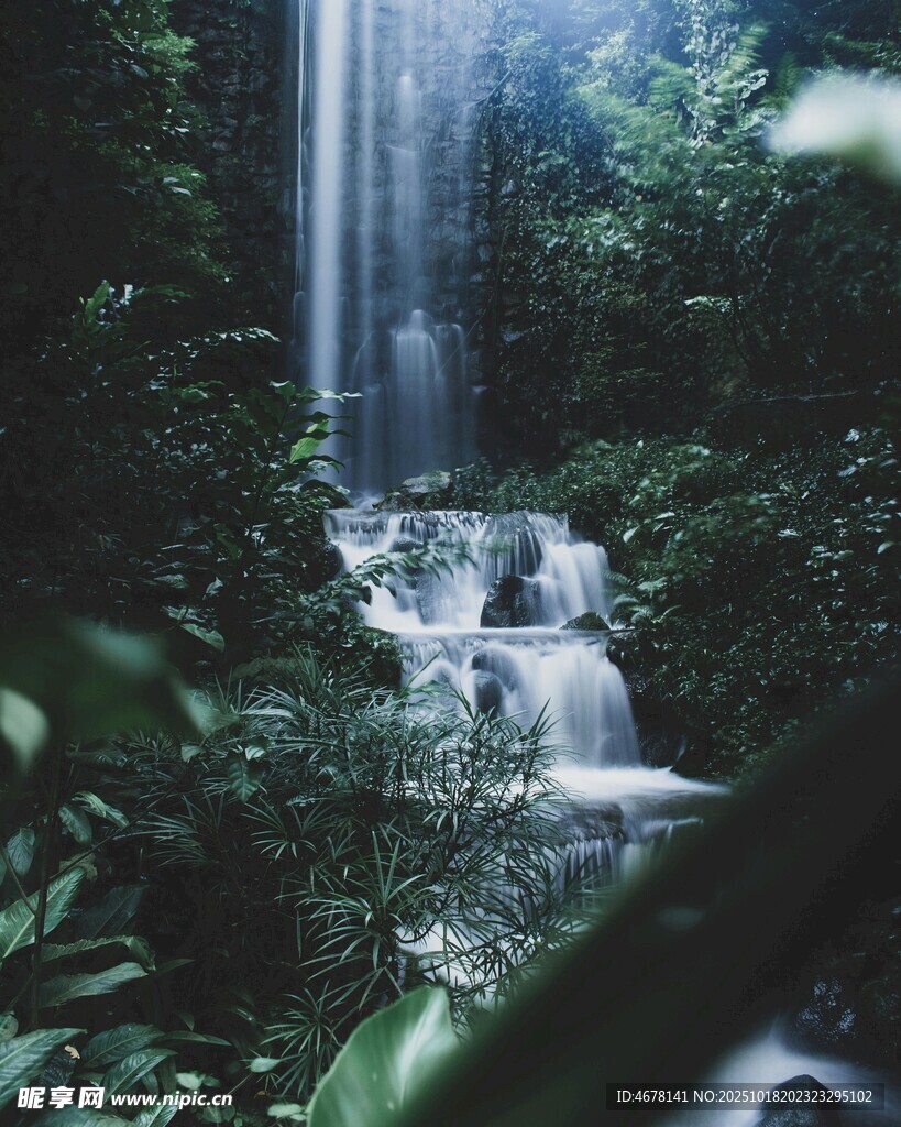 雨林中的梦幻瀑布景观