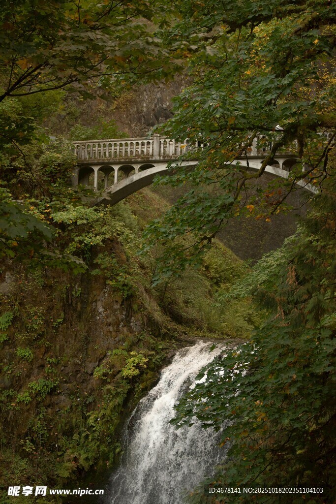 山林间飞瀑与桥的美景