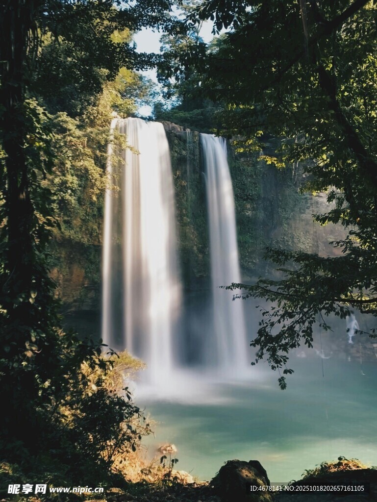 森林中的壮丽瀑布景观