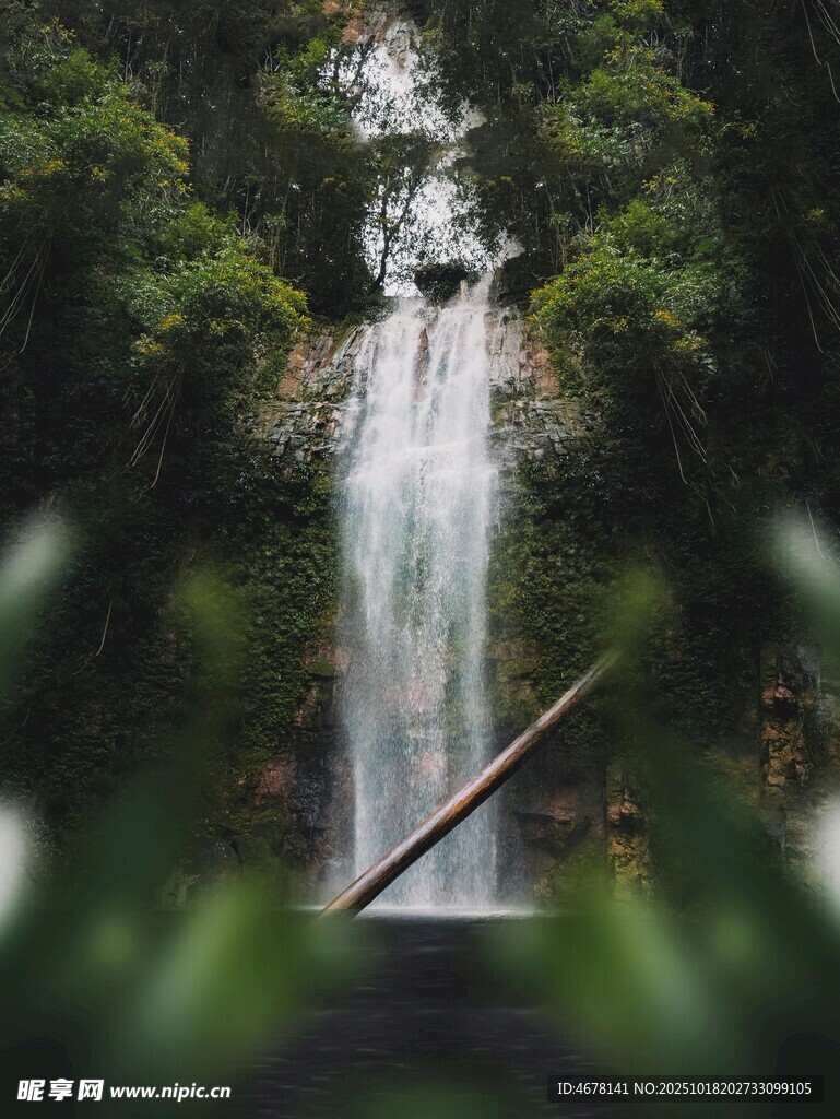 森林中的壮丽瀑布景观