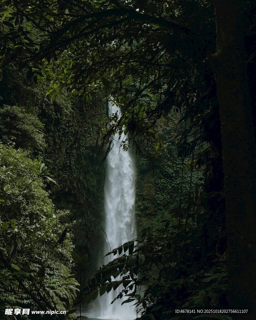 森林中的壮丽瀑布景观
