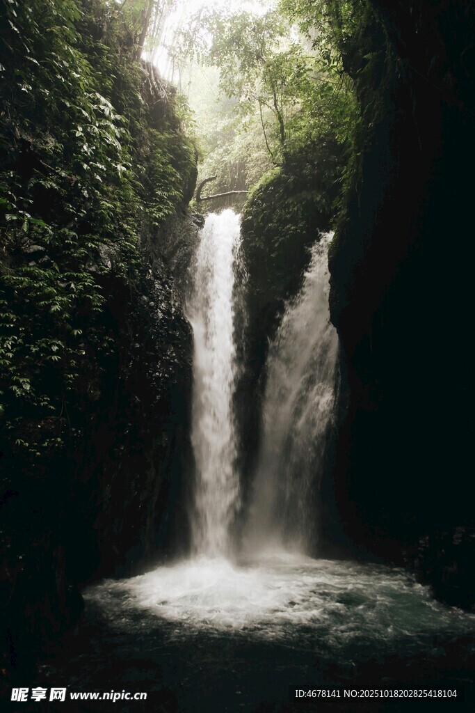雨林中的壮丽瀑布景观