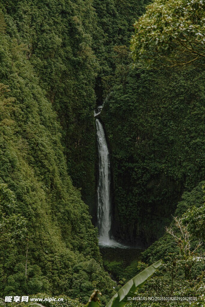 雨林中的垂直瀑布景观