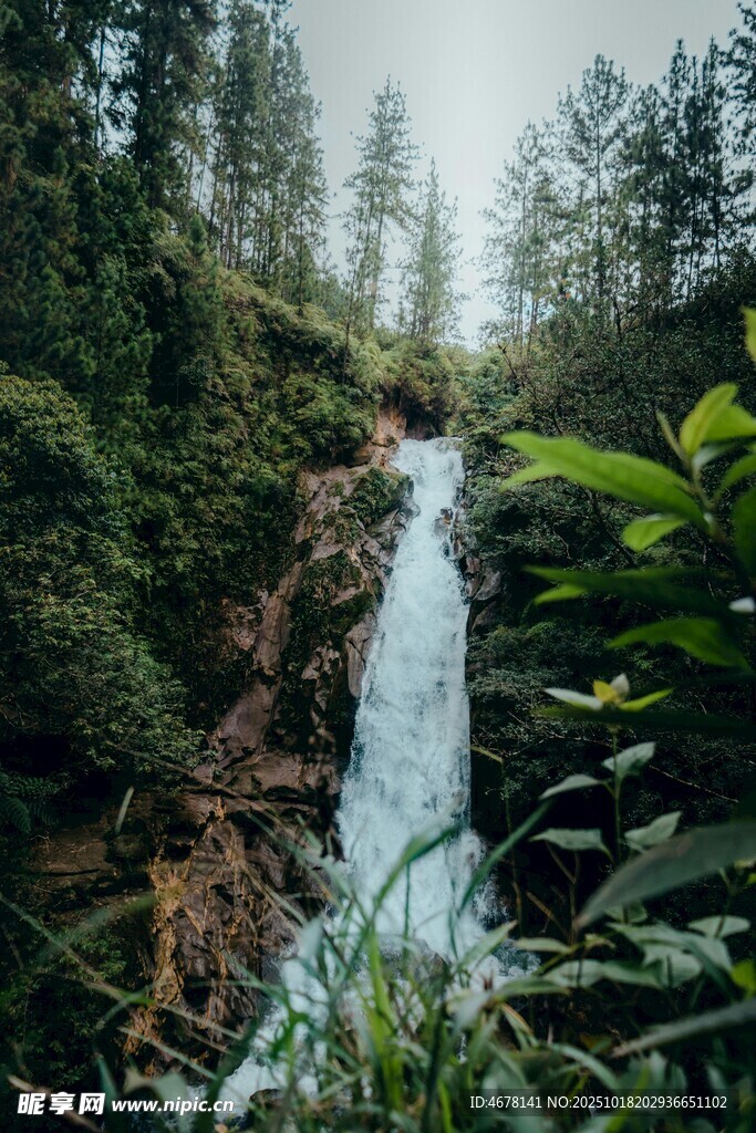 山间瀑布绿意盎然的景致