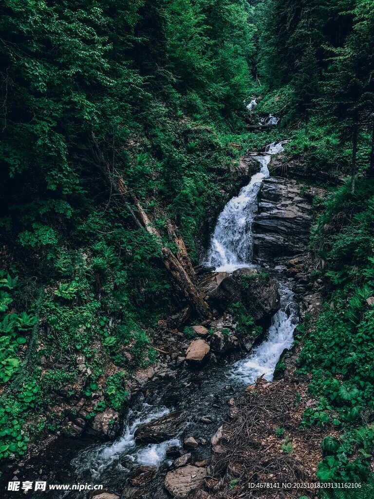 山间溪流瀑布绿意盎然