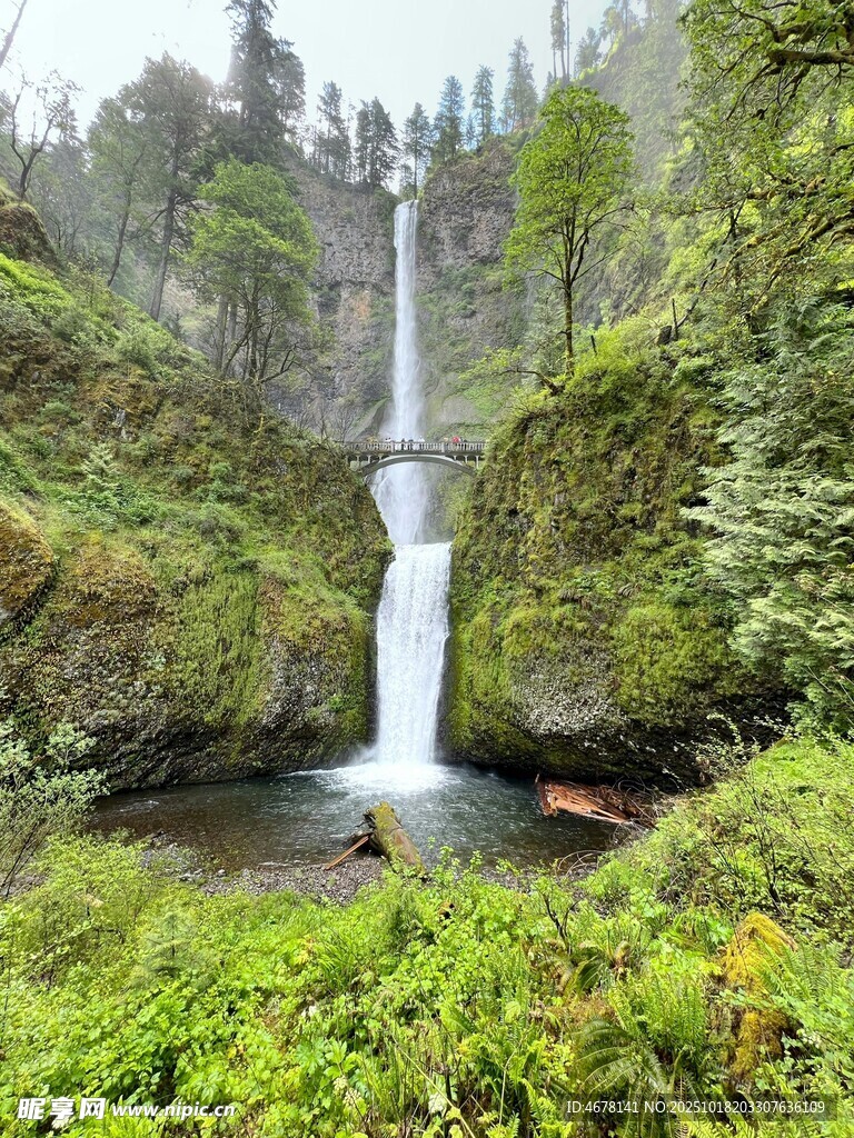 森林中的壮丽瀑布景观
