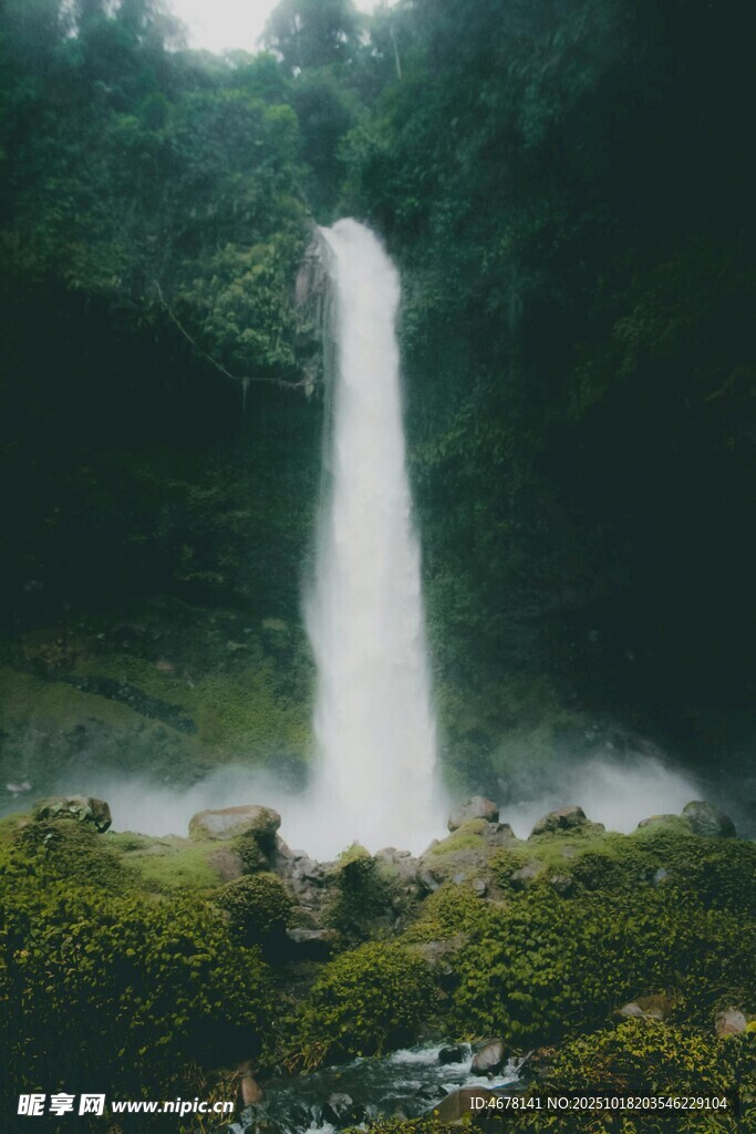 森林中的壮观瀑布景观