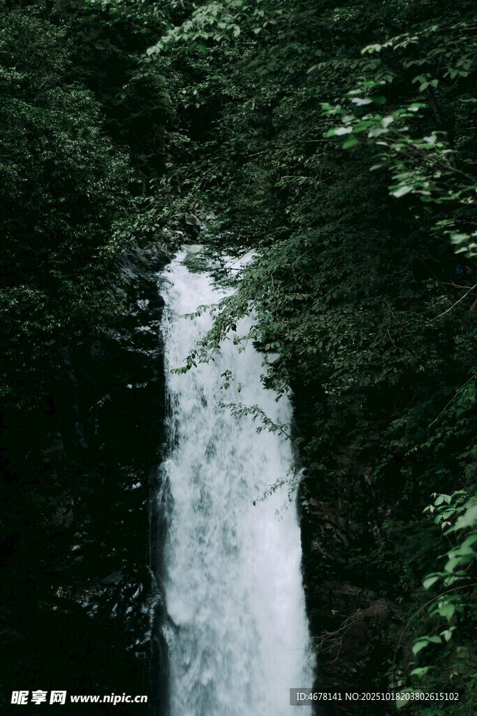 林间飞瀑