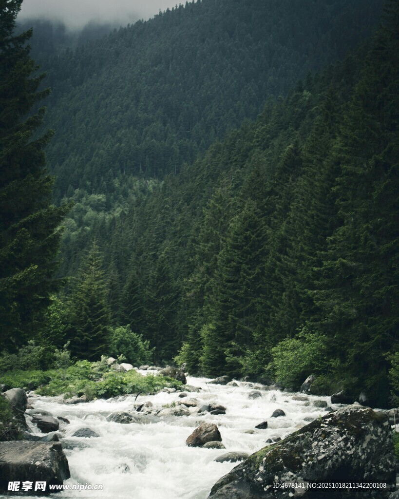 山间湍急溪流绿意盎然