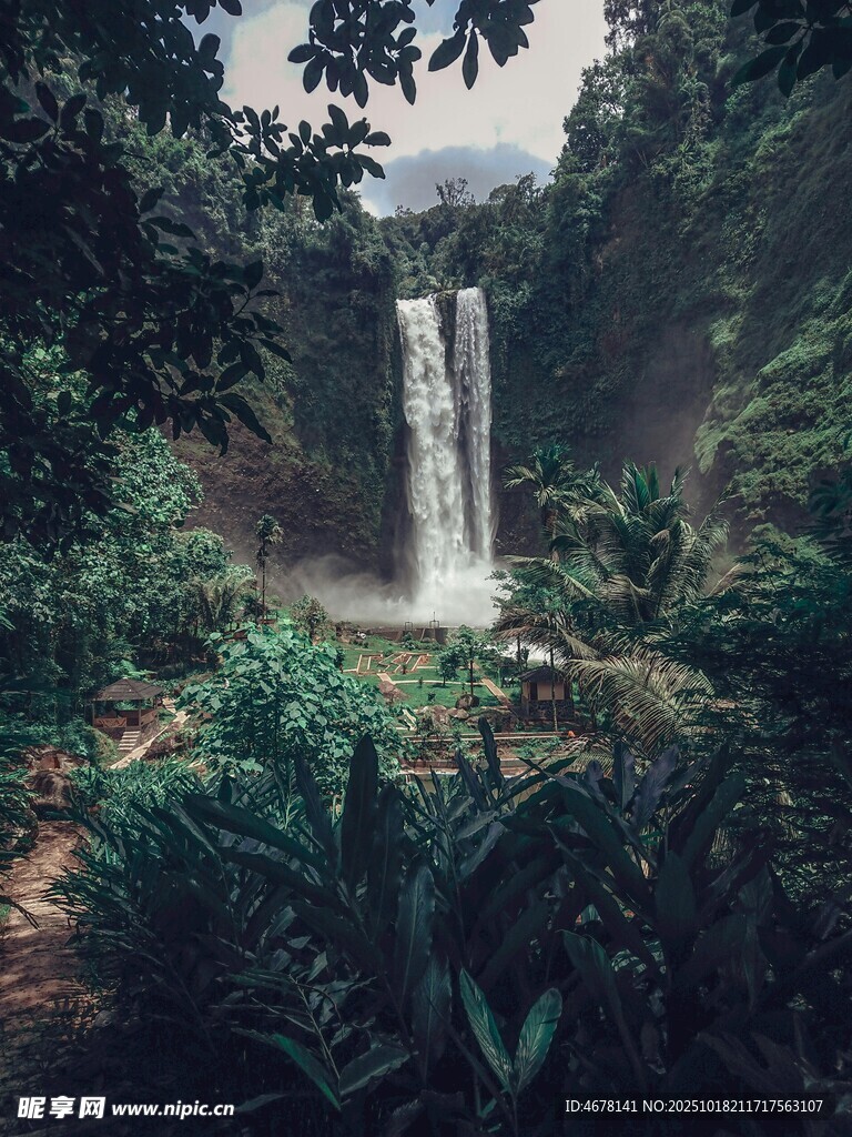 森林中的壮丽瀑布景观