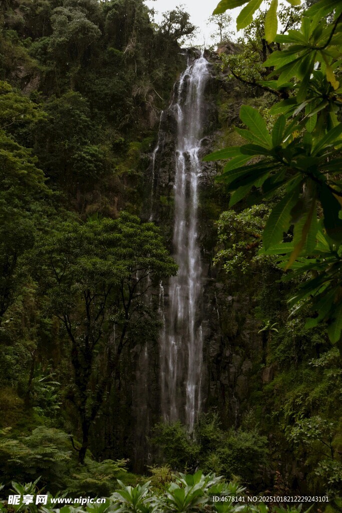 森林中的壮观瀑布景观