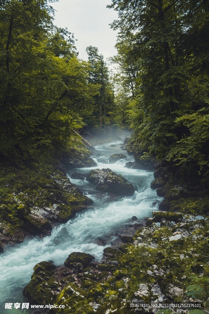 山间溪流灵动自然之景