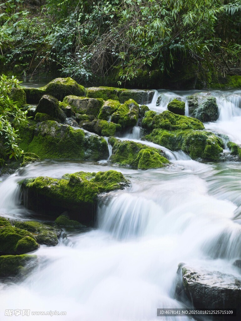 山间溪流青苔覆石之景