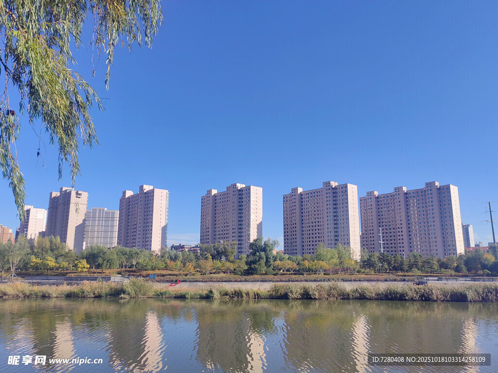 河畔高楼与垂柳景观