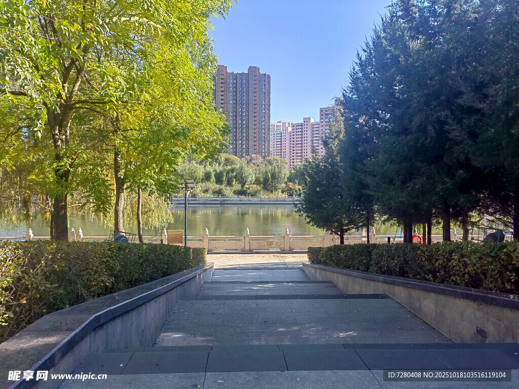 城市林荫下的宁静湖边步道