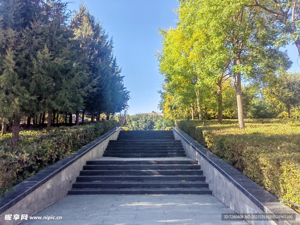 林间石阶