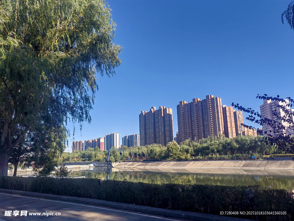 城市河畔绿树与高楼景观