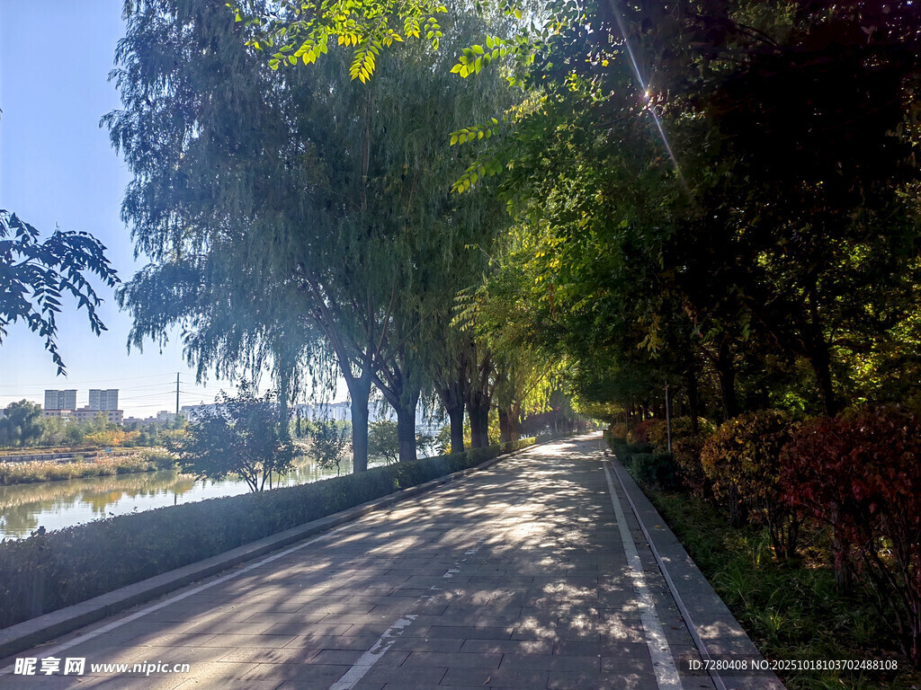 林荫河畔步道风景