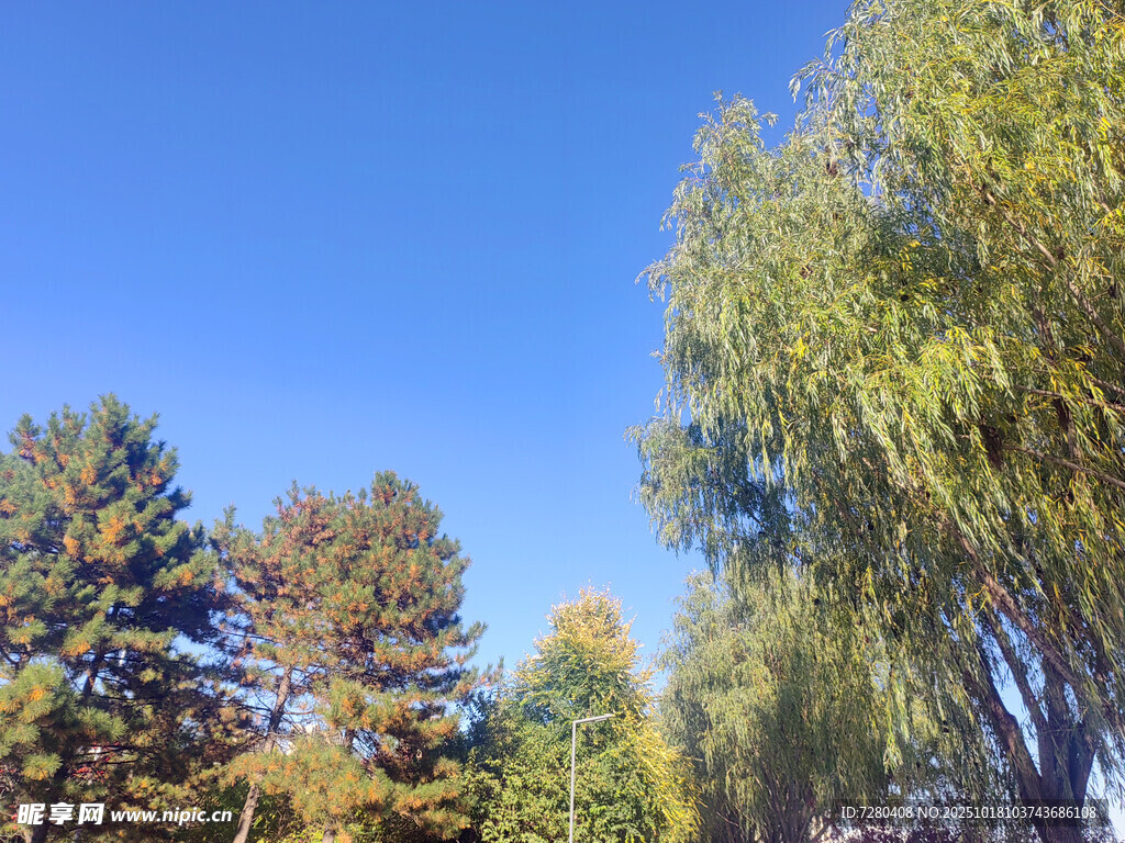 蓝天绿树风景如画