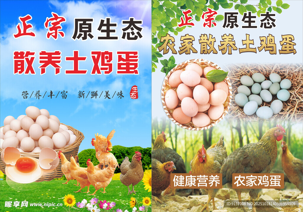原生态土蛋