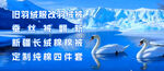 极地冰川与天鹅