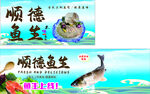 顺德鱼生 鲩鱼 