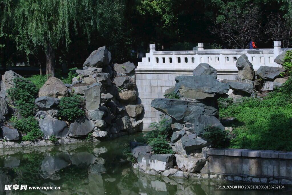公园风景  