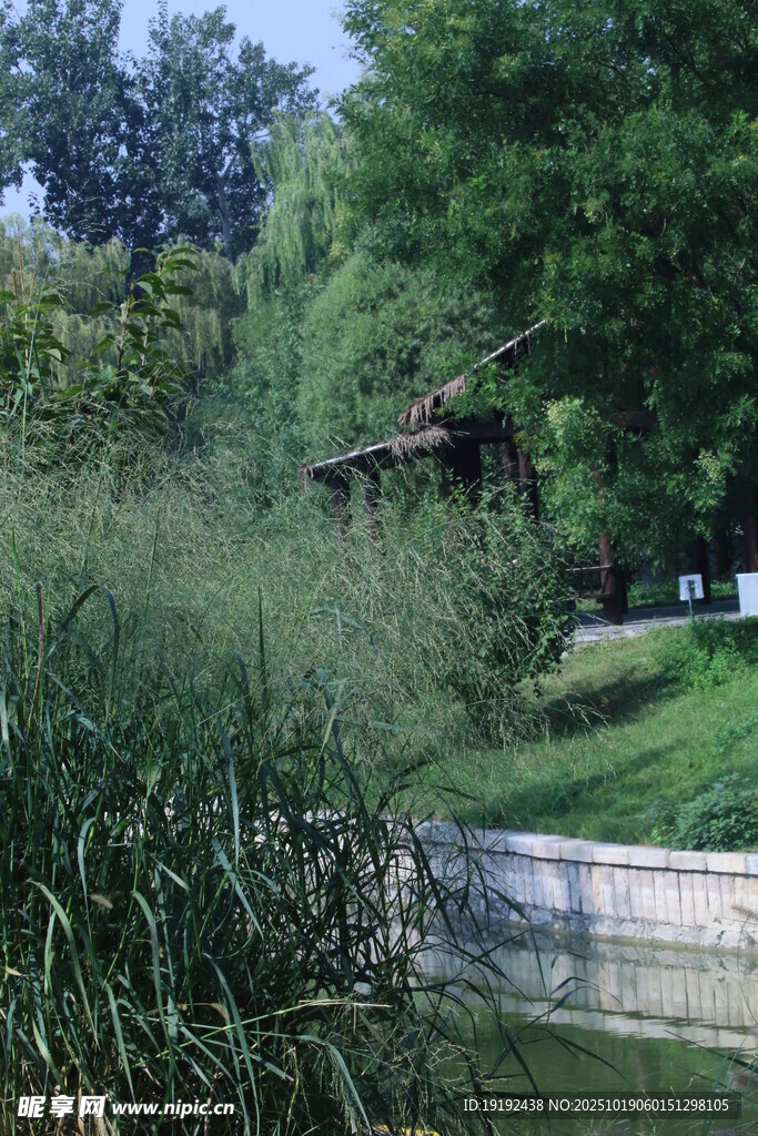 公园风景  