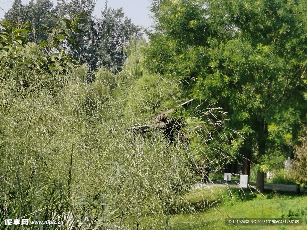 公园风景  