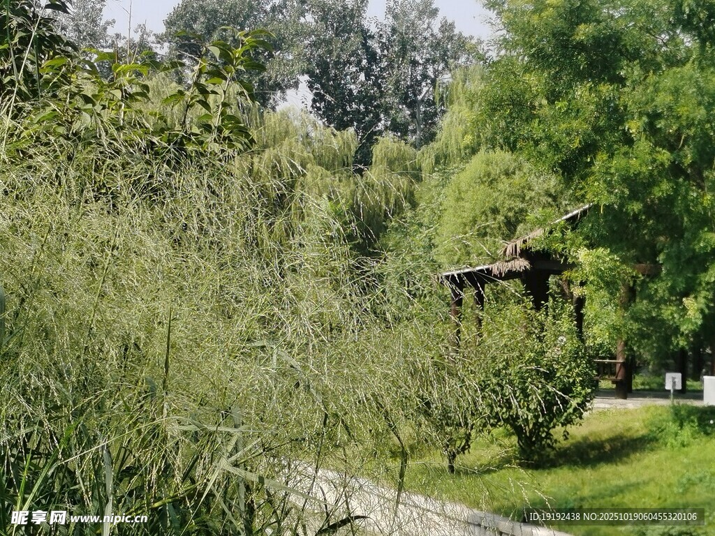 公园风景 