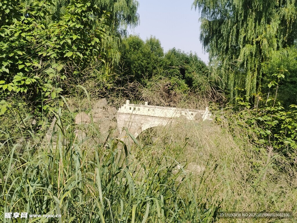 公园风景  