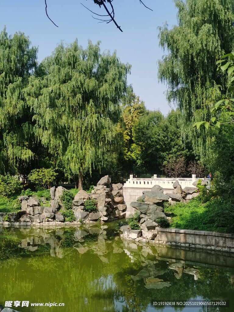 公园风景  