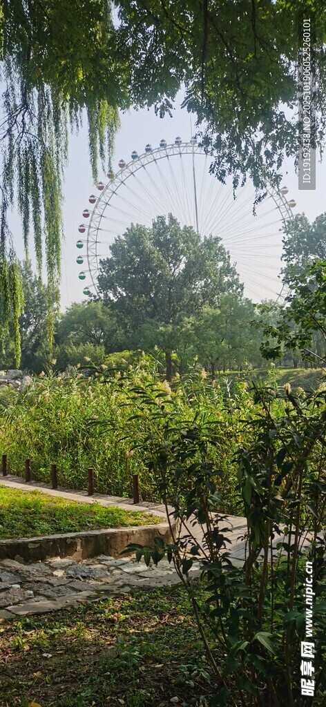公园风景  