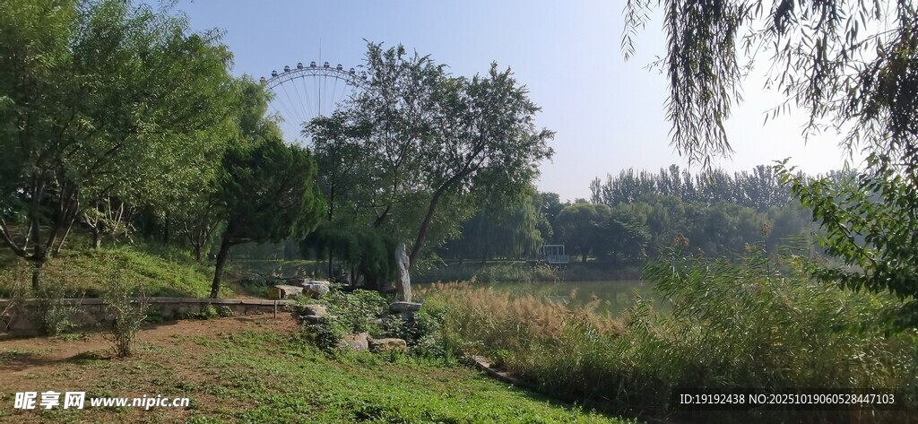 公园风景 