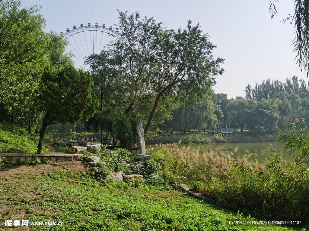 公园风景 