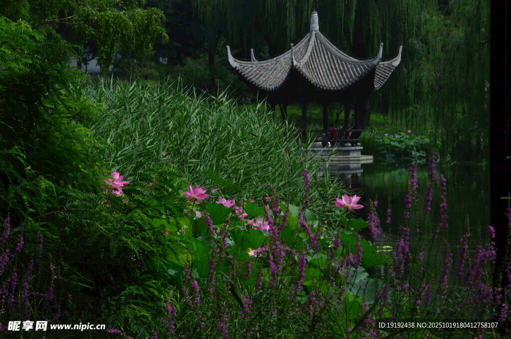 公园风景 