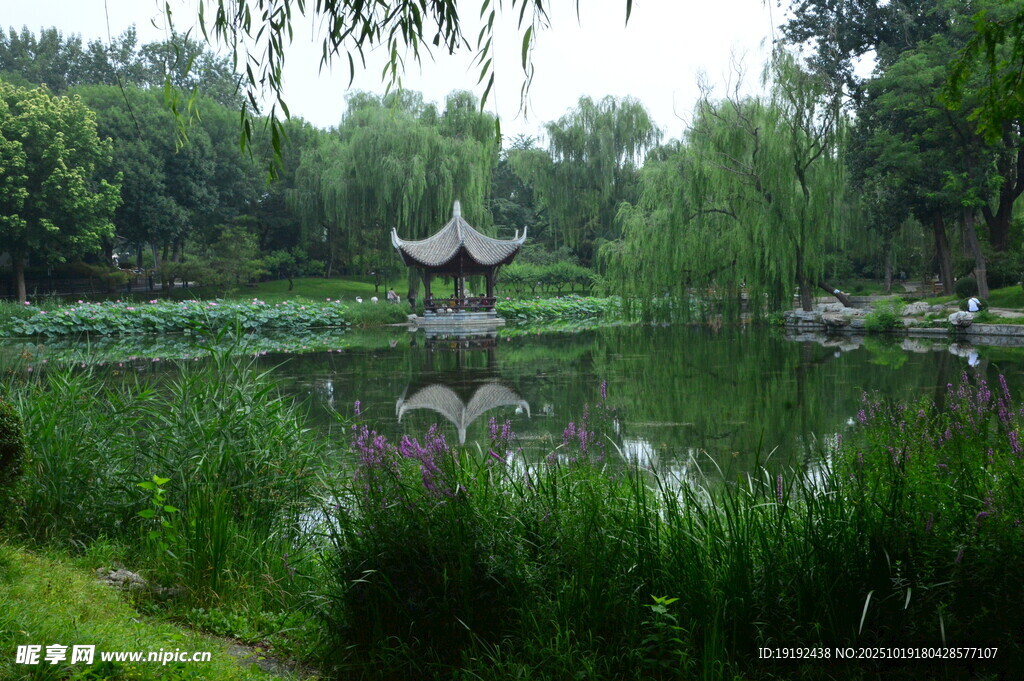 公园风景 