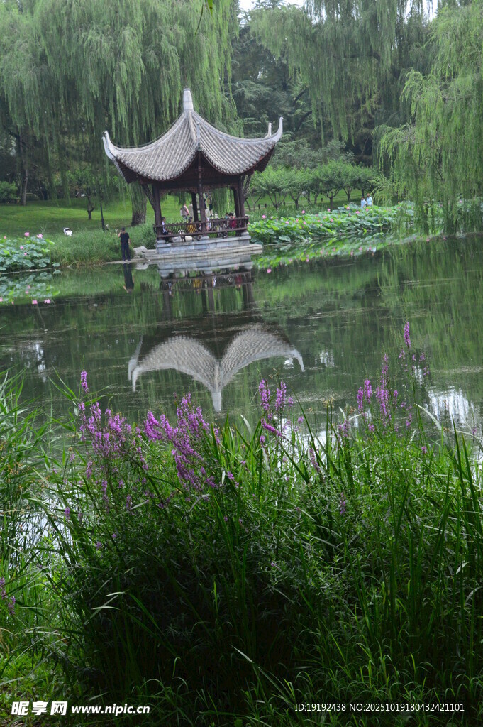 公园风景  
