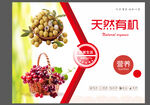 天然有机果蔬促销海报