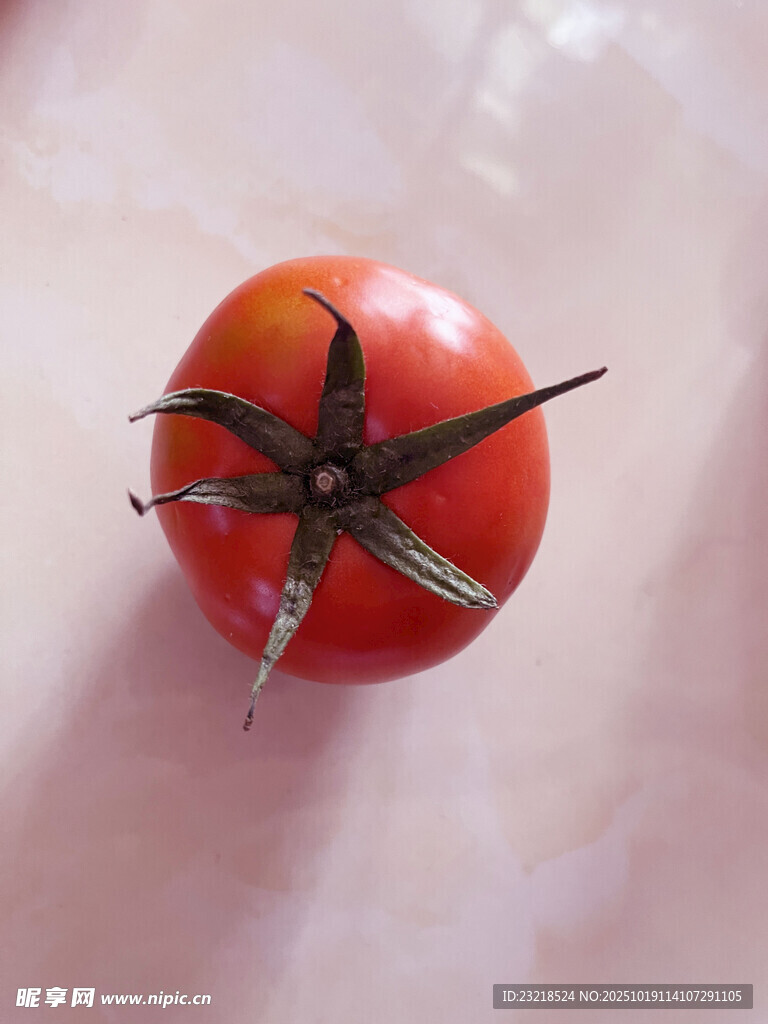 番茄