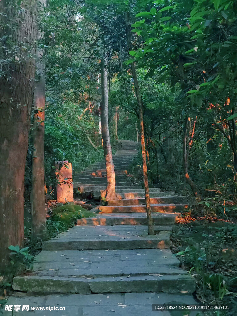 林间小道