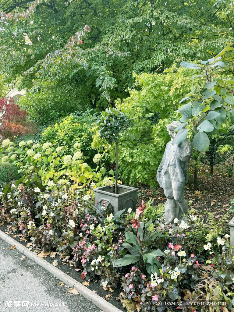 多彩花卉