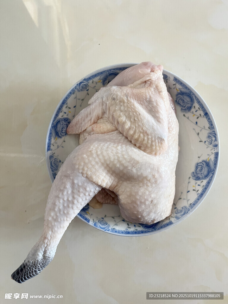 鸡肉
