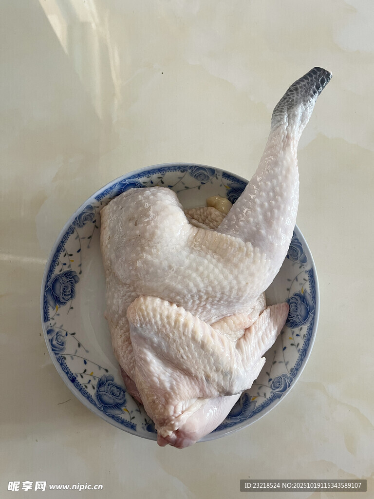 鲜鸡